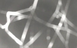 Ski Areál Opálená