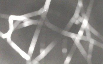 Snímek 9.11.2025 v 01:56