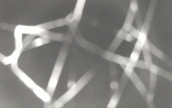 Ski Areál Opálená