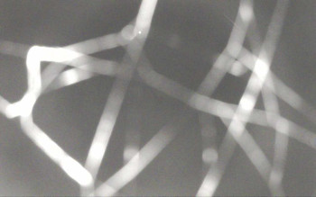 Snímek 9.11.2025 v 04:44