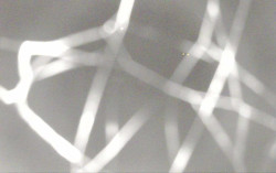 Ski Areál Opálená