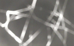 Ski Areál Opálená