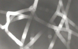 Ski Areál Opálená