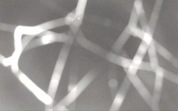 Ski Areál Opálená