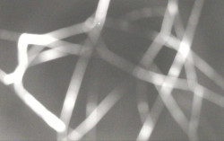 Ski Areál Opálená