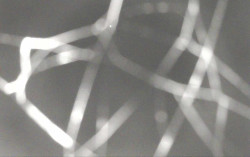 Ski Areál Opálená