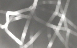 Ski Areál Opálená