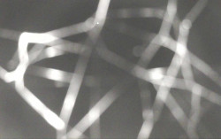 Ski Areál Opálená