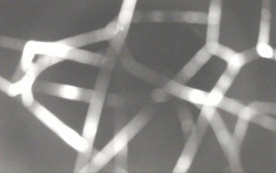 Ski Areál Opálená