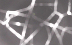 Ski Areál Opálená