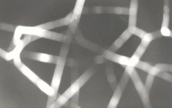 Ski Areál Opálená