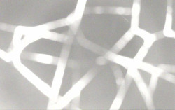 Ski Areál Opálená