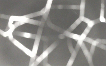 Snímek 14.11.2025 v 02:12