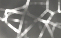 Ski Areál Opálená