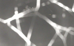 Ski Areál Opálená