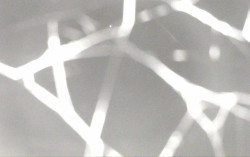 Ski Areál Opálená