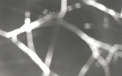 Ski Areál Opálená