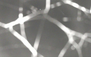 Ski Areál Opálená - Ski Areál Opálená - 15.11.2025 v 04:12 Ski Areál Opálená - Ski Areál Opálená - 15.11.2025 v 04:12