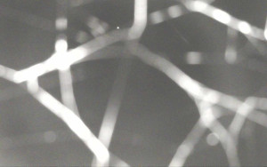 Ski Areál Opálená - Ski Areál Opálená - 15.11.2025 v 04:44 Ski Areál Opálená - Ski Areál Opálená - 15.11.2025 v 04:44