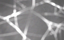 Ski Areál Opálená