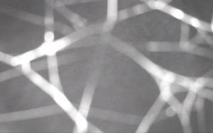 Ski Areál Opálená - Ski Areál Opálená - 15.11.2025 v 05:12 Ski Areál Opálená - Ski Areál Opálená - 15.11.2025 v 05:12