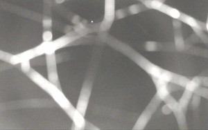 Ski Areál Opálená - Ski Areál Opálená - 15.11.2025 v 05:44 Ski Areál Opálená - Ski Areál Opálená - 15.11.2025 v 05:44