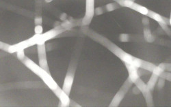 Ski Areál Opálená