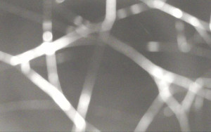 Ski Areál Opálená - Ski Areál Opálená - 15.11.2025 v 06:12 Ski Areál Opálená - Ski Areál Opálená - 15.11.2025 v 06:12