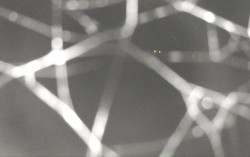 Ski Areál Opálená