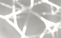 Ski Areál Opálená