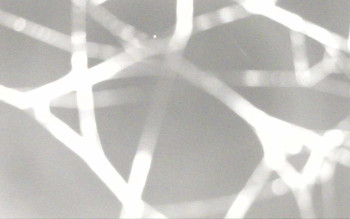 Snímek 15.11.2025 v 19:28