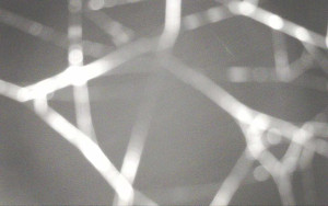 Ski Areál Opálená - Ski Areál Opálená - 15.11.2025 v 20:44 Ski Areál Opálená - Ski Areál Opálená - 15.11.2025 v 20:44