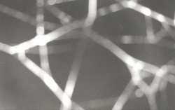 Ski Areál Opálená