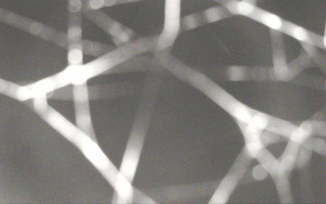 Ski Areál Opálená - Ski Areál Opálená - 15.11.2025 v 21:12 Ski Areál Opálená - Ski Areál Opálená - 15.11.2025 v 21:12