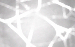 Ski Areál Opálená