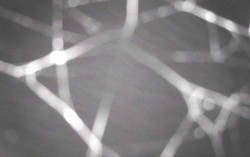 Ski Areál Opálená