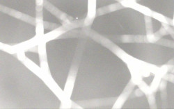 Ski Areál Opálená