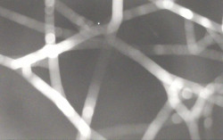 Ski Areál Opálená