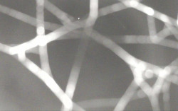 Ski Areál Opálená