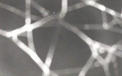 Ski Areál Opálená