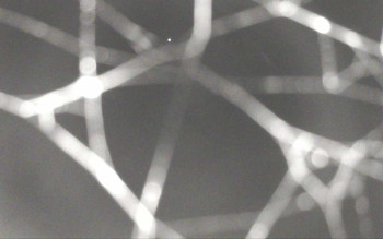 Snímek 16.11.2025 v 04:28