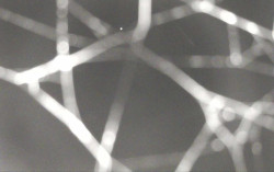 Ski Areál Opálená