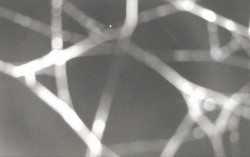 Ski Areál Opálená