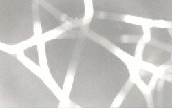 Ski Areál Opálená