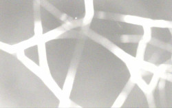 Ski Areál Opálená