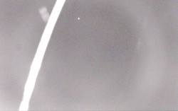 Ski Areál Opálená