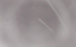 Ski Areál Opálená