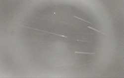 Ski Areál Opálená