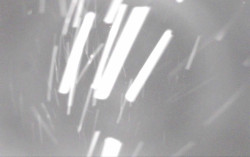 Ski Areál Opálená