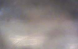 Ski Areál Opálená